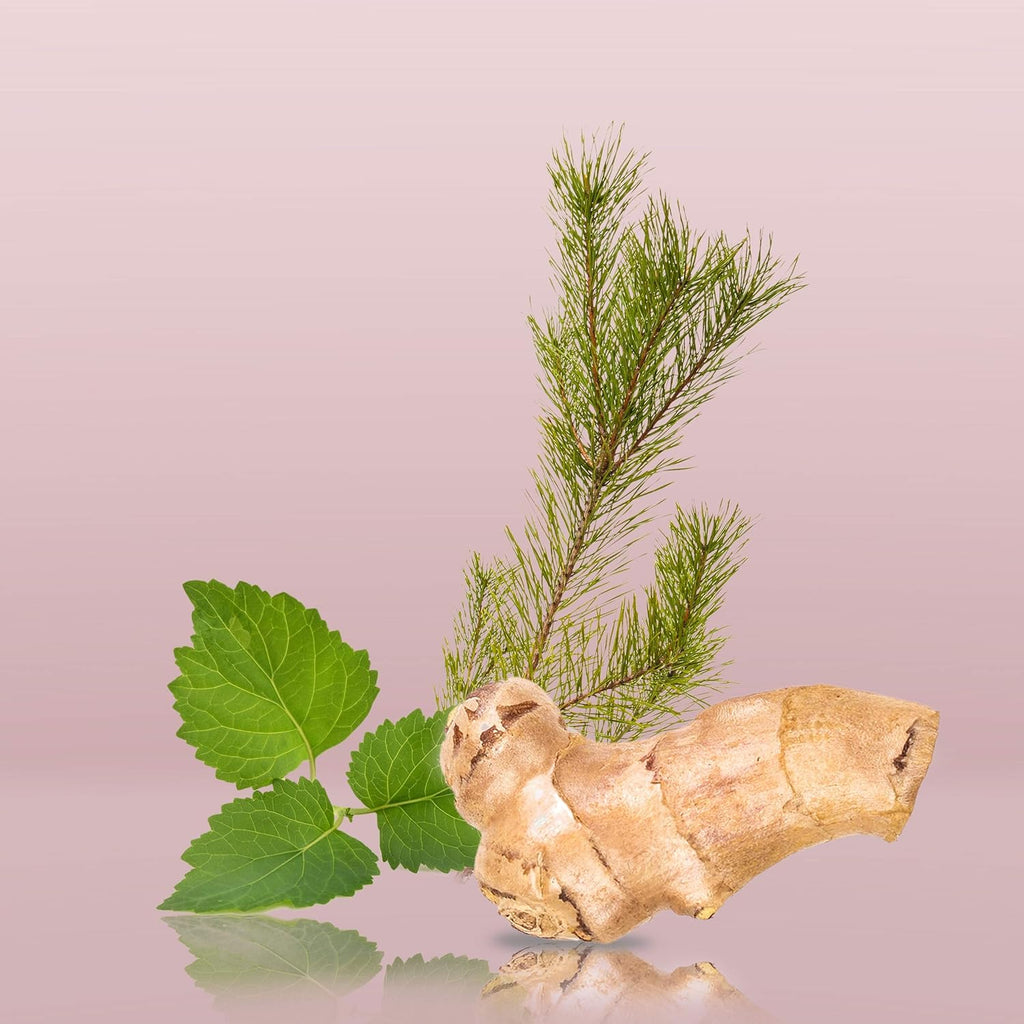 Calvin Klein Euphoria Perfume for Men Eau De Toilette 100ML