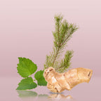 Calvin Klein Euphoria Perfume for Men Eau De Toilette 100ML